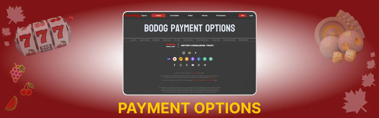 Bodog payment options