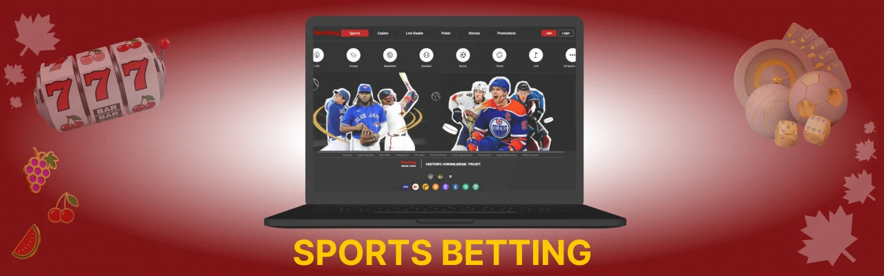 Sports betting at bodog