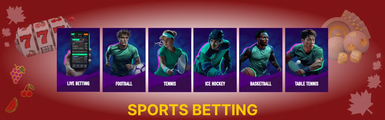 Sports betting odds at betinia casino